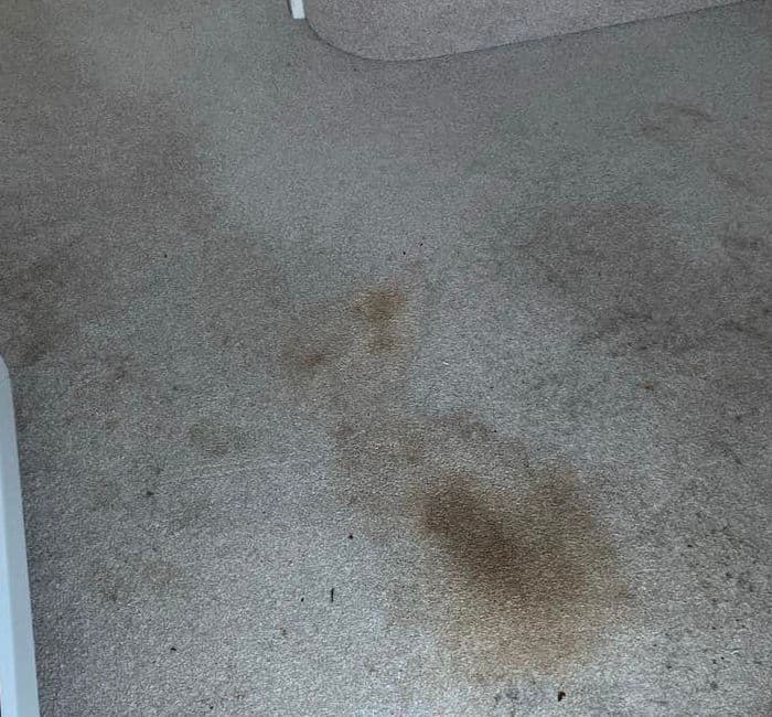 Hallway carpet with several dark stains before specialist treatment