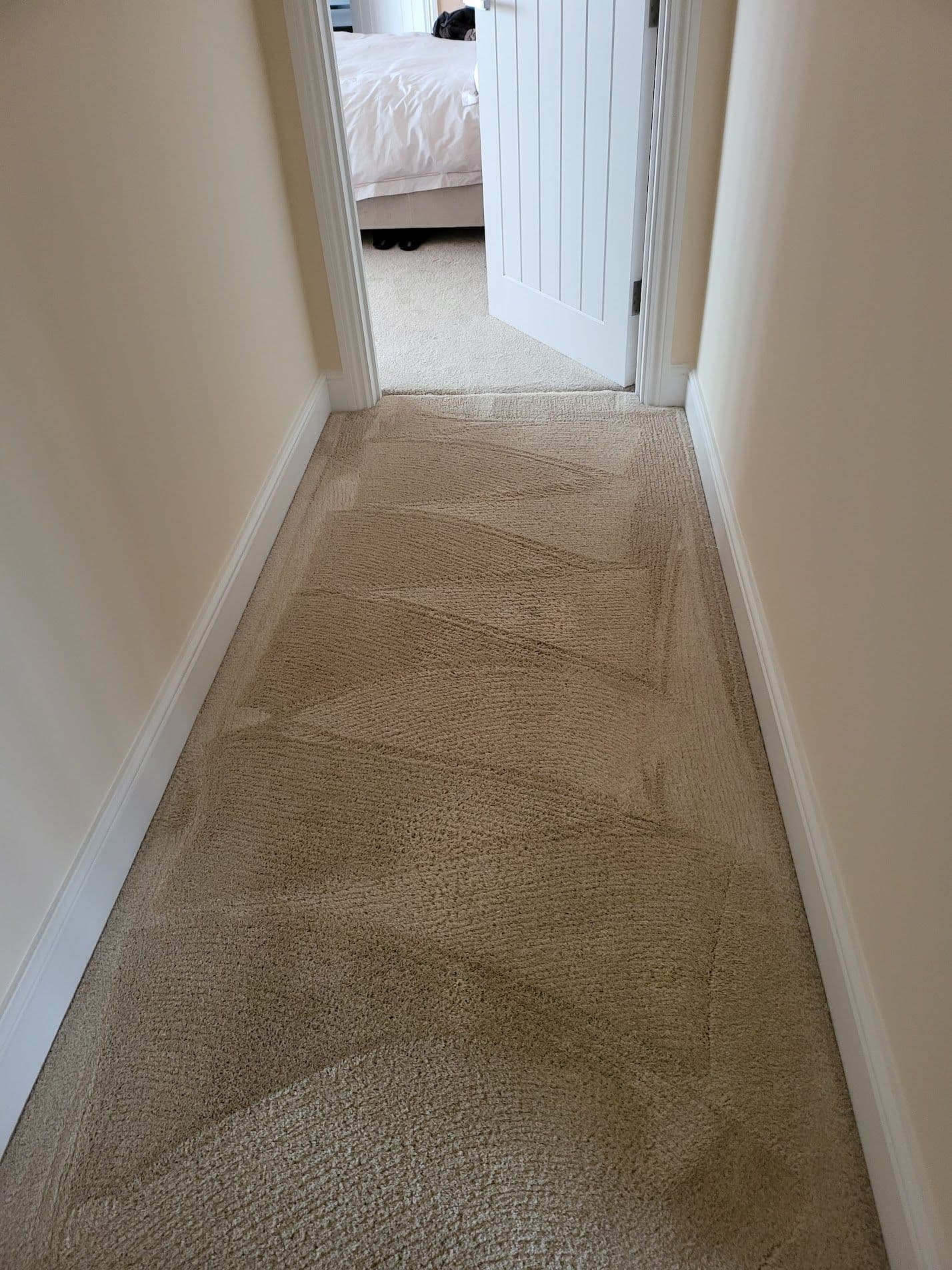 Hallway carpet after George completed a professional deep clean