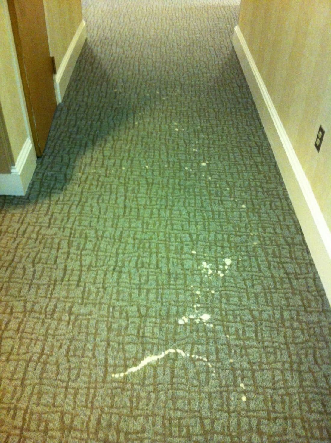 Multiple bleach splashes on a patterned commercial carpet before colour correction