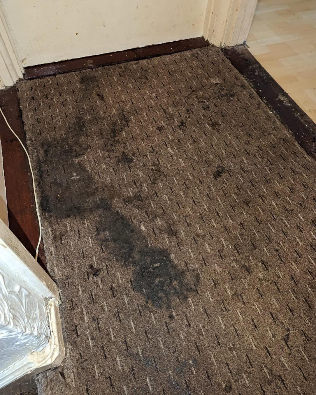 Patterned entry carpet with heavy dark contamination before specialist treatment