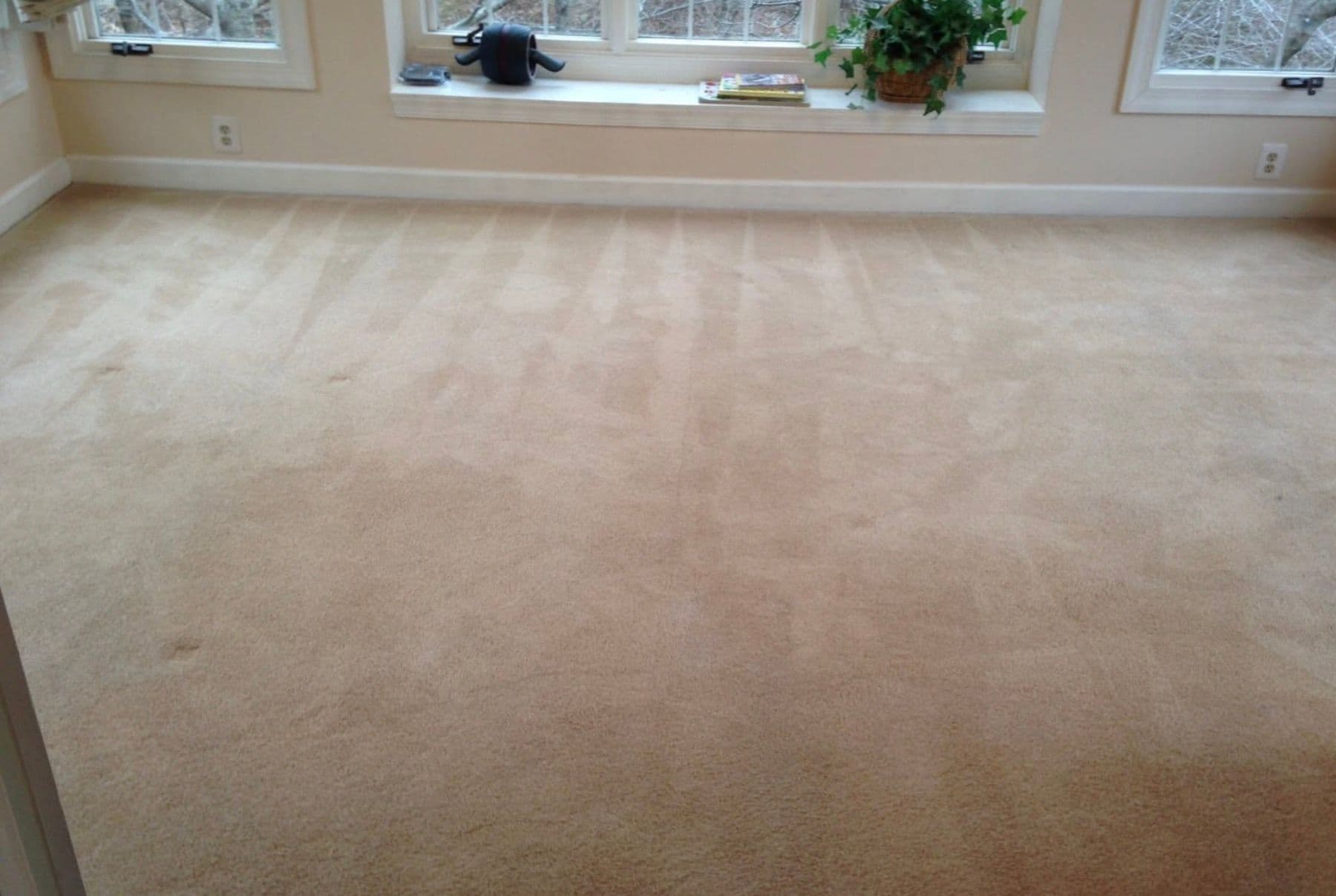 Lounge carpet after professional colour restoration