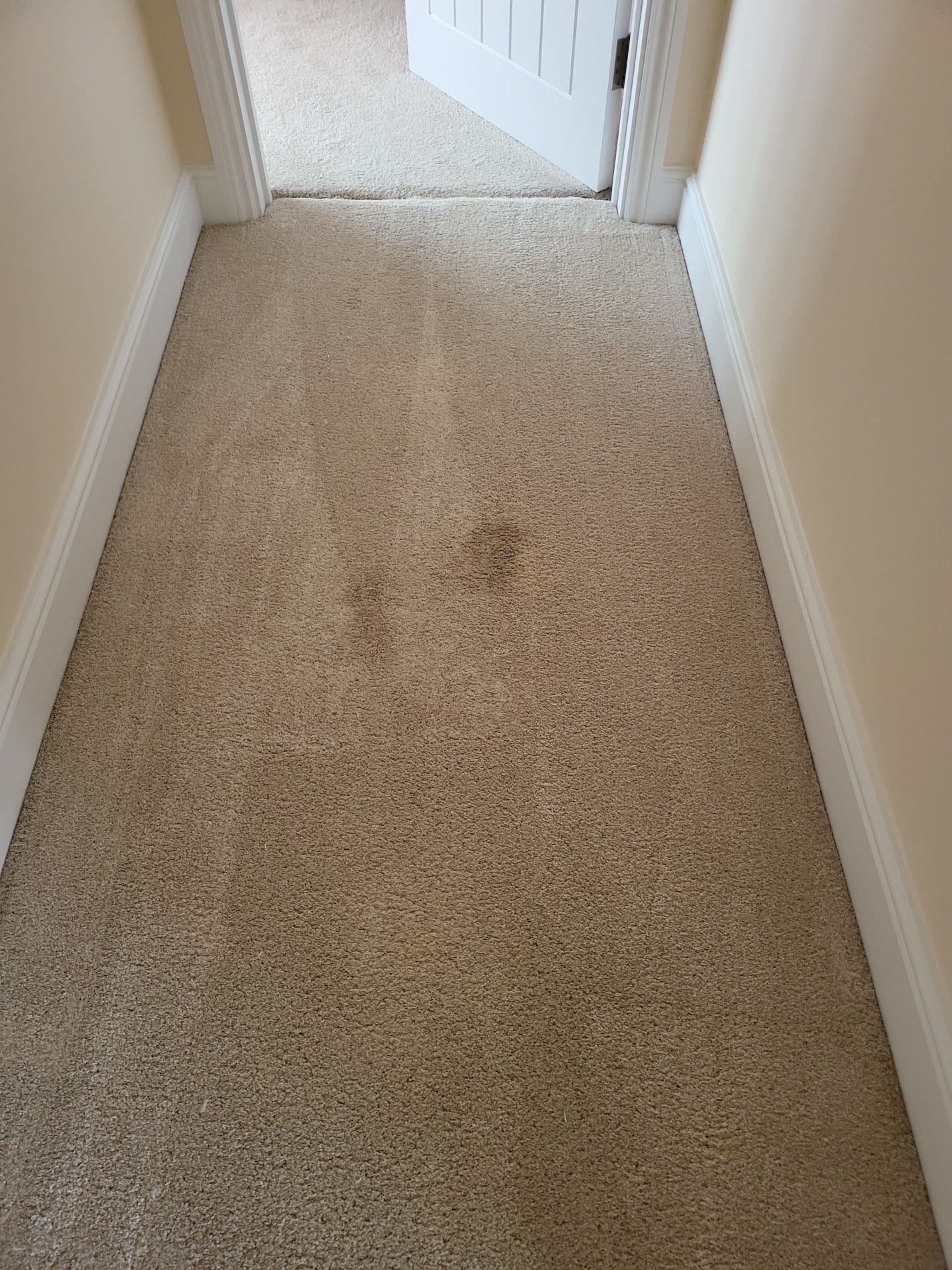 Hallway carpet with traffic-lane soiling before professional cleaning