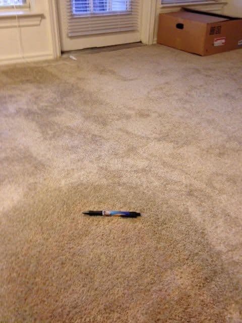 Carpet after professional colour correction of a large bleach mark