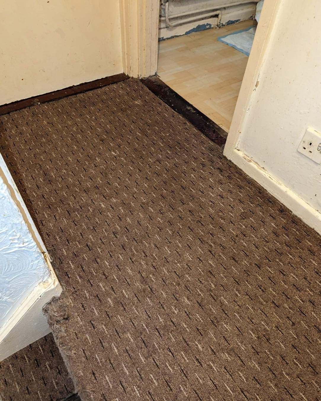 Patterned entry carpet after George completed targeted treatment and professional cleaning