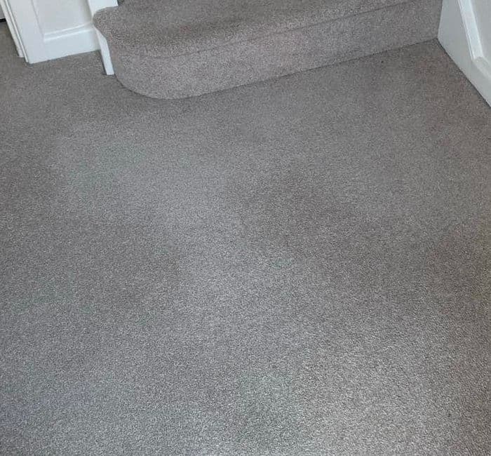 Hallway carpet after George completed specialist treatment and professional cleaning