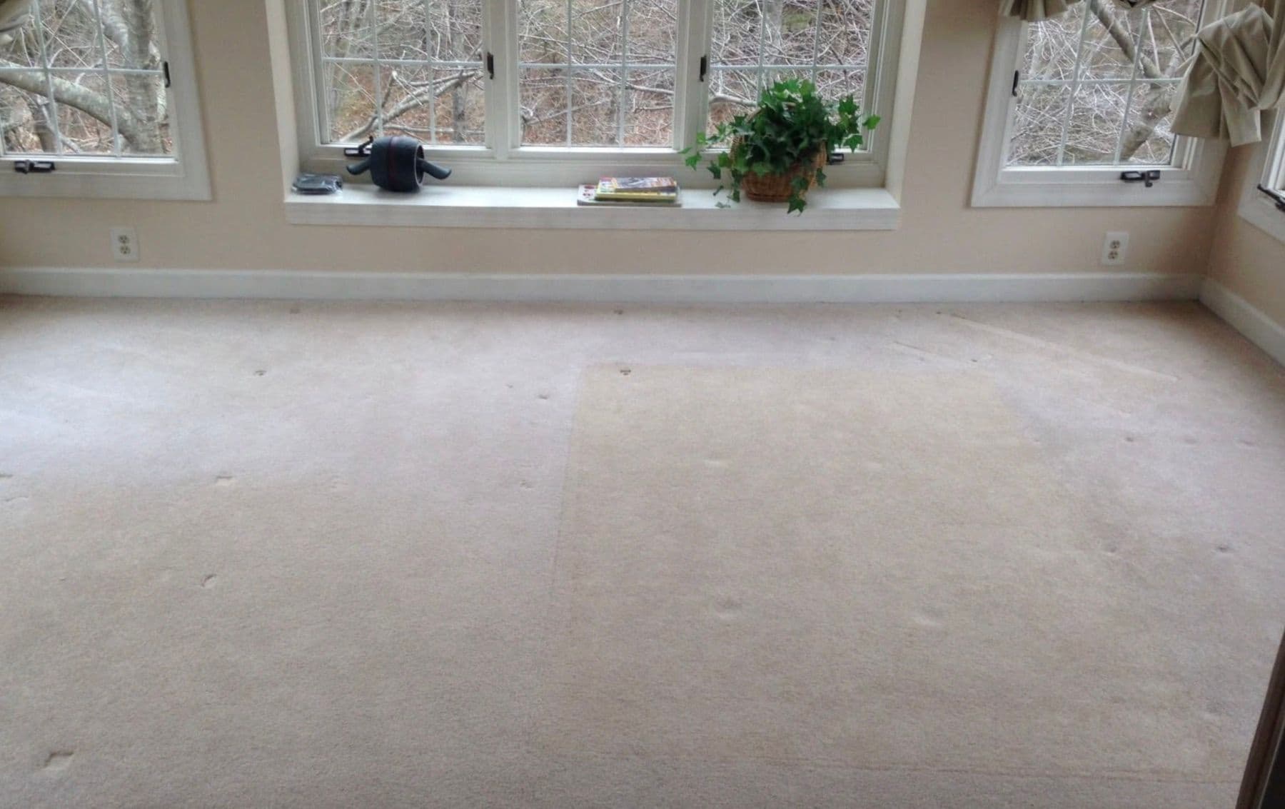 Lounge carpet with uneven sun fading before professional colour restoration