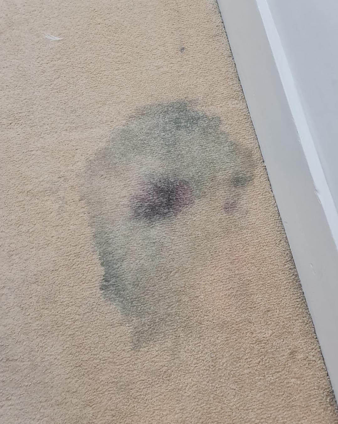 Light carpet with dark printer-toner contamination before specialist removal