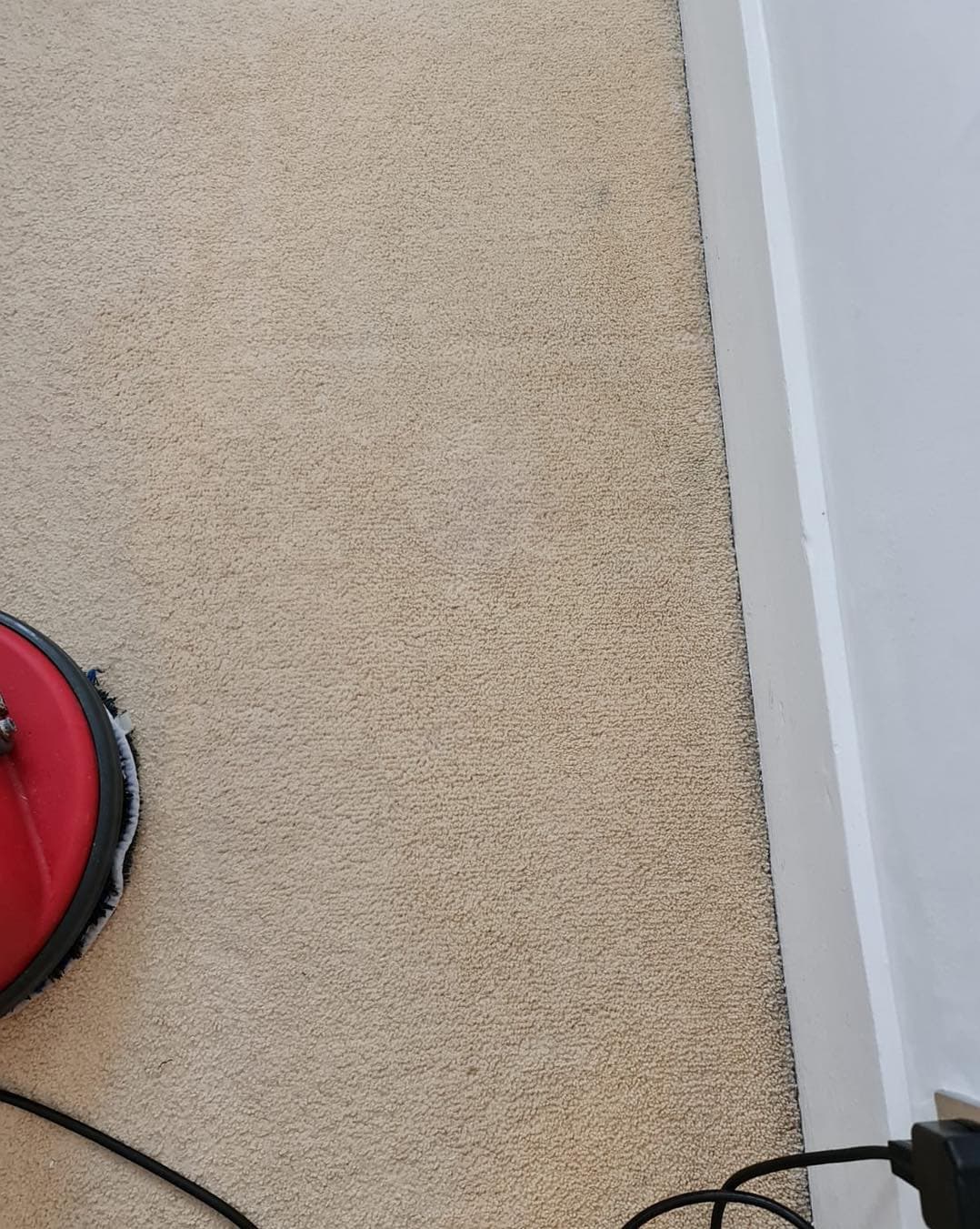 Light carpet after George completed specialist printer-toner removal
