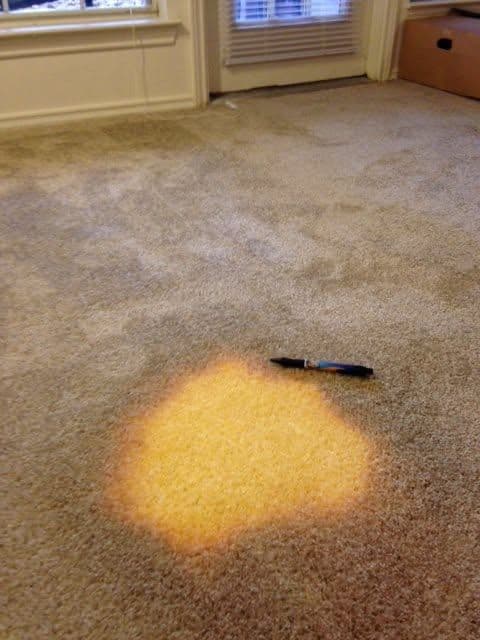 Large isolated bleach mark on a carpet before professional colour correction
